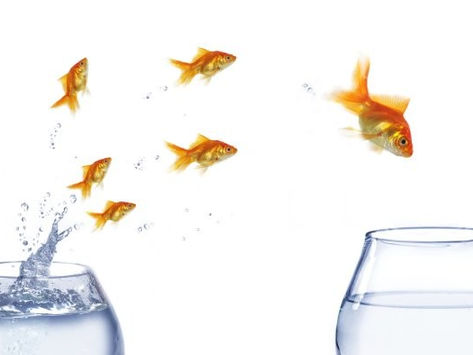 5 Ways to Lead, even if you're not a Leader