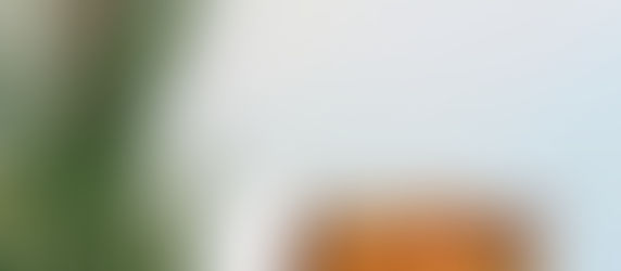 Celebrazione nella vigilia della "Coena Domini" alla Christiana Fraternitas