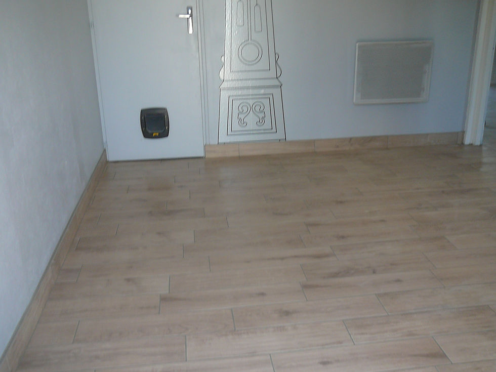 15 x 60 à Veauche