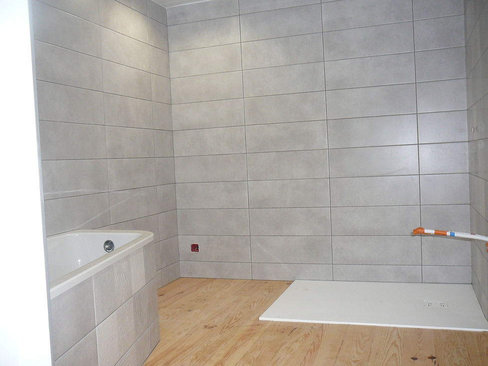 format 20 x 60