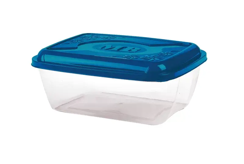 Caixa Org. Retangular +Casa Everyday 1,5L