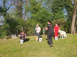 IMG-20240414-WA0020
