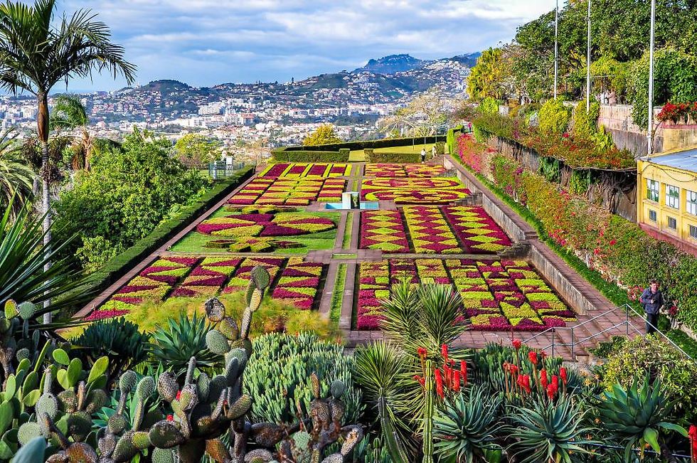 Jardim Botânico