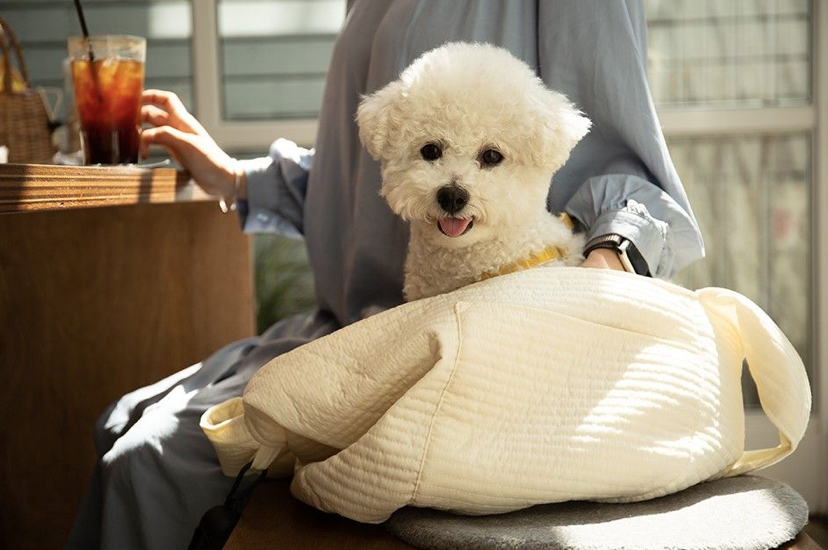 Thumbnail: [Pet Friends] Pet Sling Bag