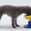 Thumbnail: [PETHROOM] Well Fit Table & Bowl