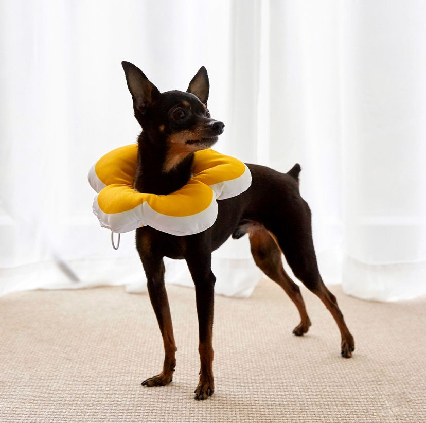 Thumbnail: [Petholic] Waterproof Flower Neck Pillow