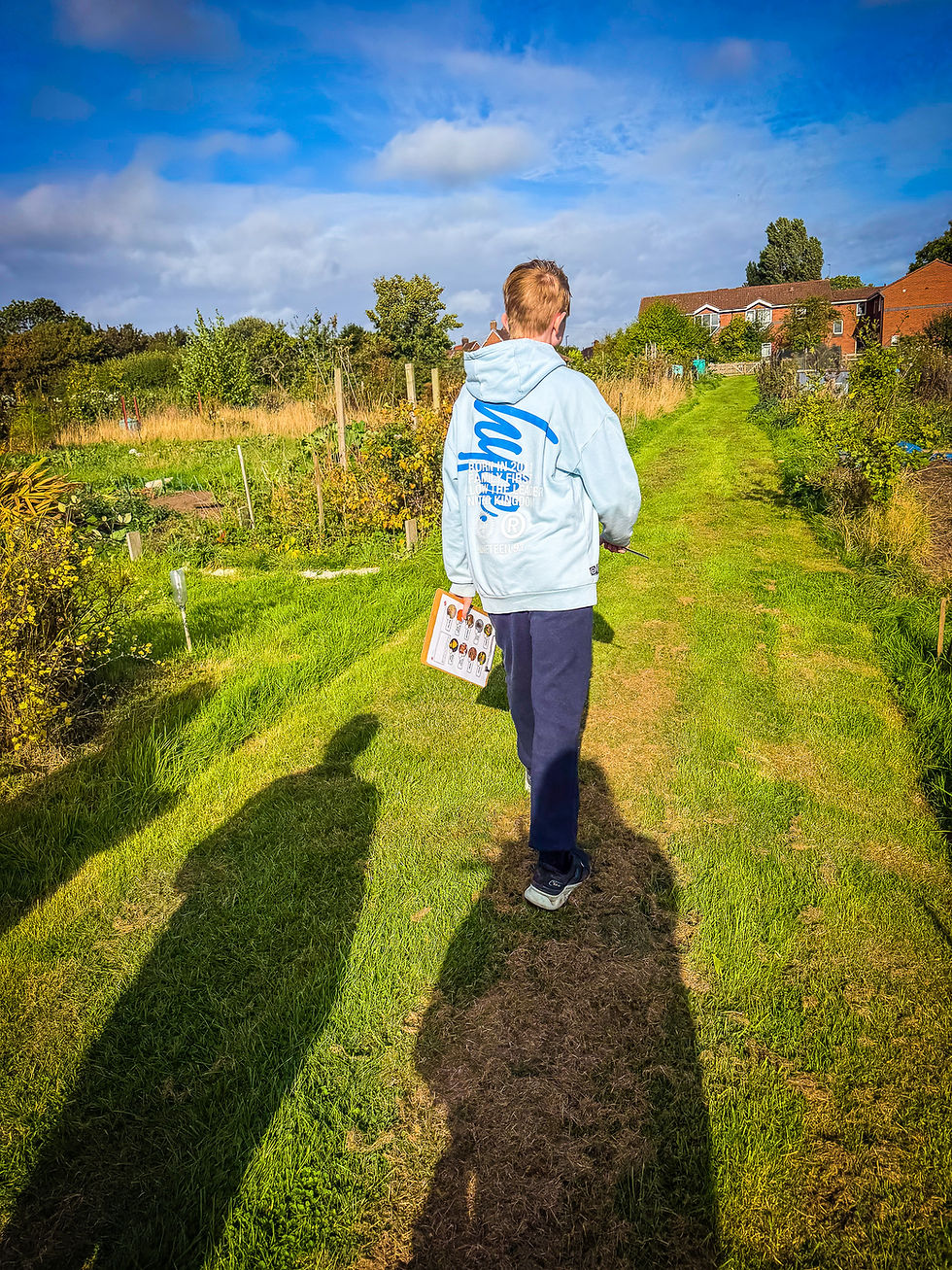 🍂 Autumn Nature Hunt in Engage
