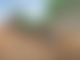 Farmdeals seed offering grows 🌱 😉