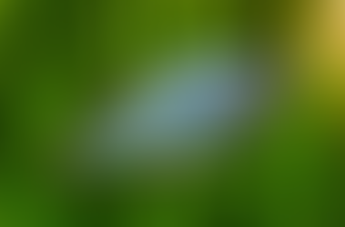 How I Engineered a Backup Power System to Save My Fish