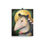 Thumbnail: Possum Madonna Prints