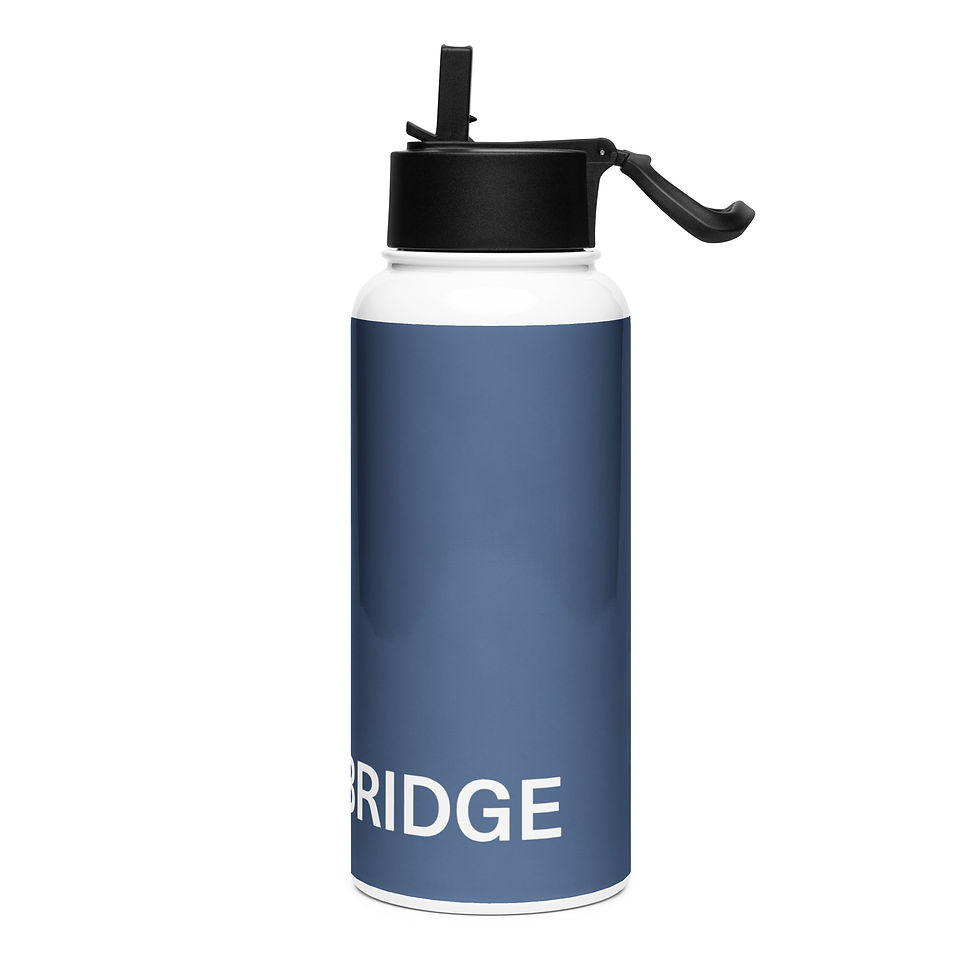 Thumbnail: Stainless Steel Water Bottle with a Straw Lid