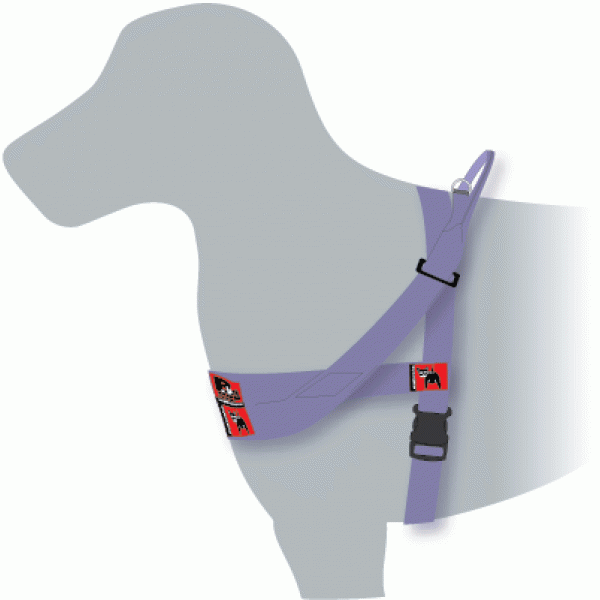FlyballHarness-600x600 (1)