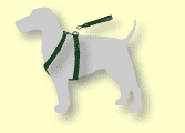 CHarnessDog