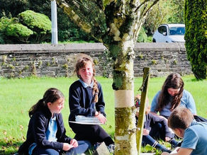 Heritage in Schools
