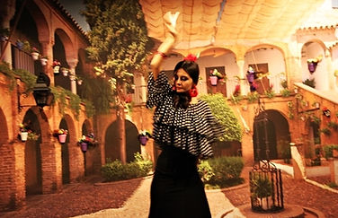 azulflamenko gösteri