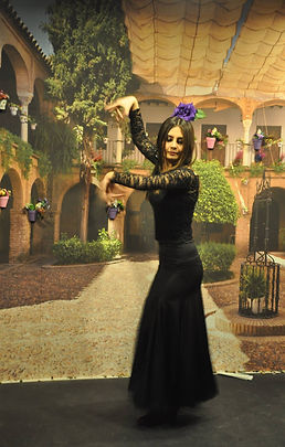 azulflamenko gösteri