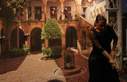 azulflamenko gösteri