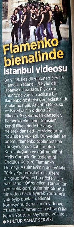 bienalde azulmavi flamenko