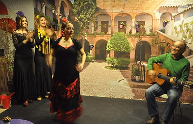 azulflamenko gösteri