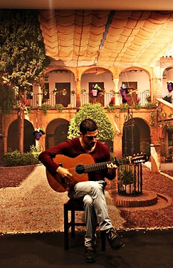 azulflamenko gösteri