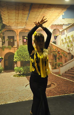 azulflamenko gösteri