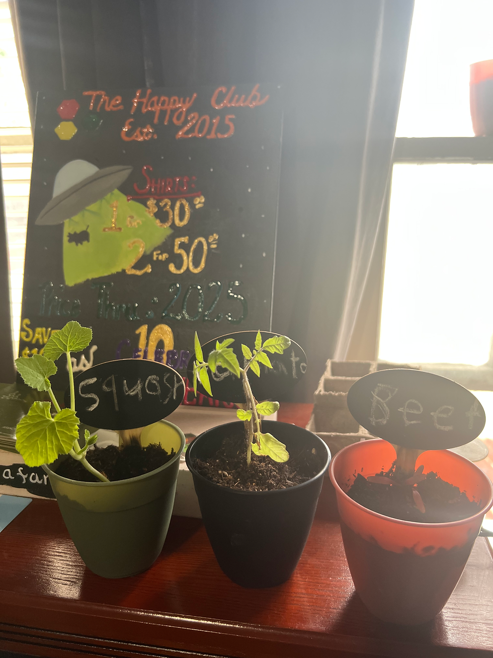 Plants started by the kiddos from seeds.
