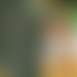 Falling Into Some Tips