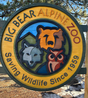 A Weekend in Big Bear: Enjoying the Snow without the Skis