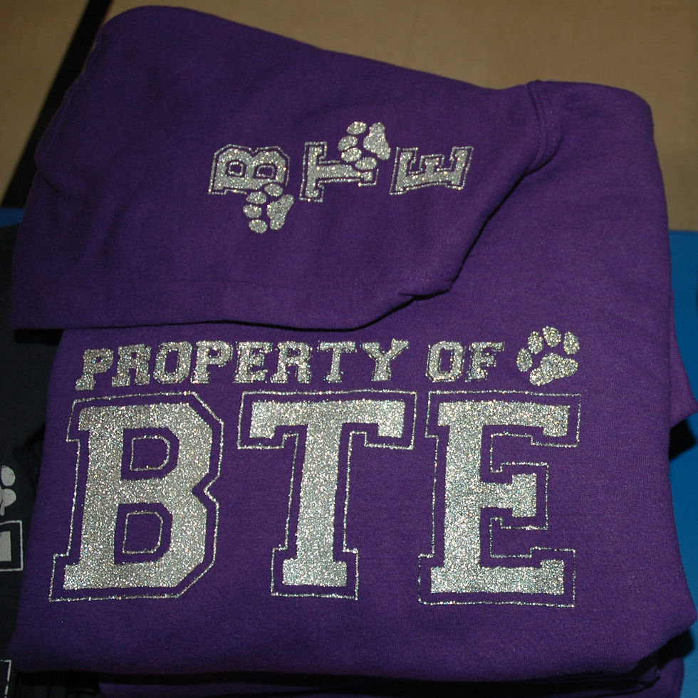 Web Purple Hoodie.jpg