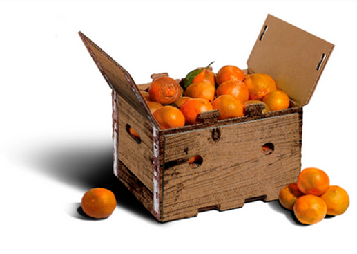 Satsuma.PNG