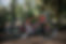 Specialized-Roubaix-Expert service bicycle riders morningside.jpeg