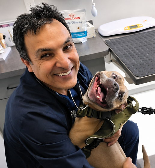 Dr.Daniel Mir DVM holding a friendly and happy dog..png