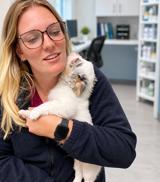 Veterinary technician holding a puppy at Petvise
