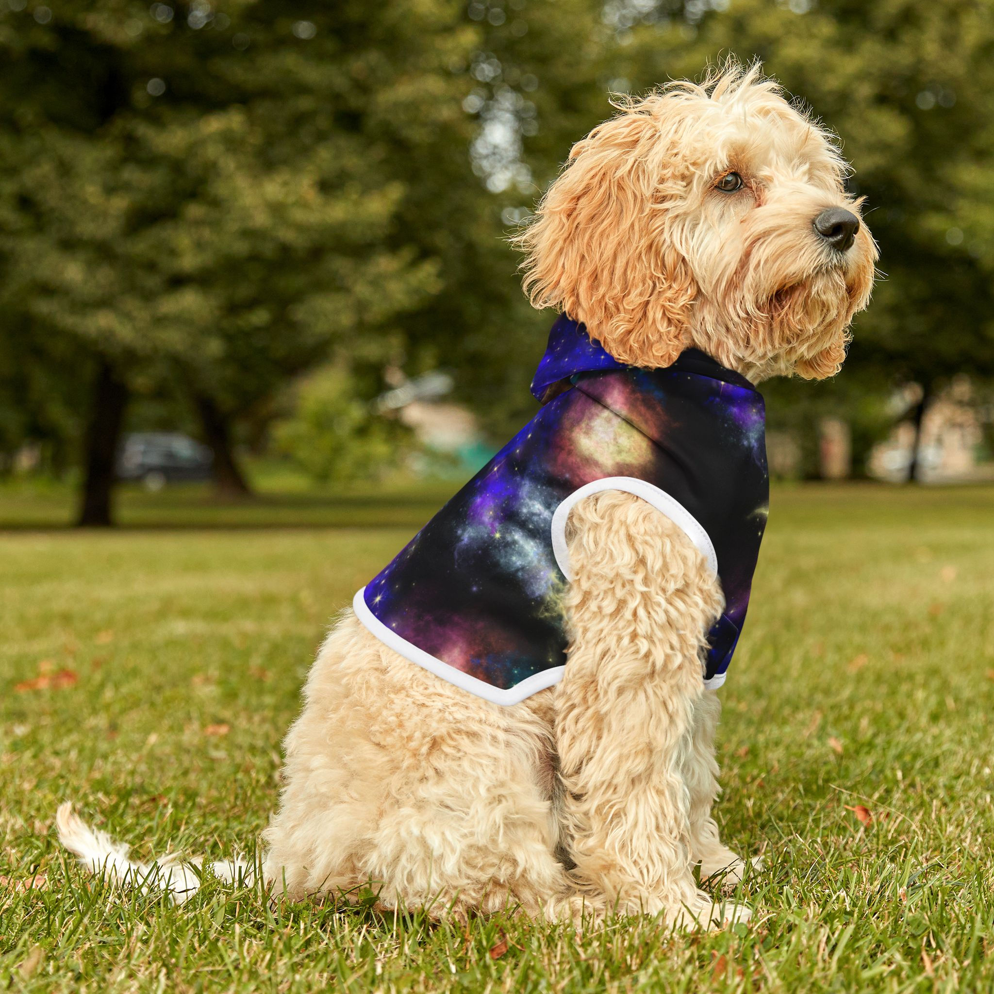 Galaxy Print Pet Hoodie — Cosmic Nebula Dog & Cat Hoodie