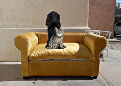 SOFACAMA (RAZA GRANDE)