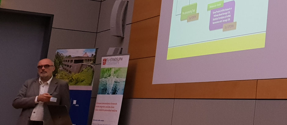 The WT Oncosimulator presented at the Heidelberg conference on Computational Modeling in Biology