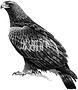 IMG_20180514_130044_edited.jpg