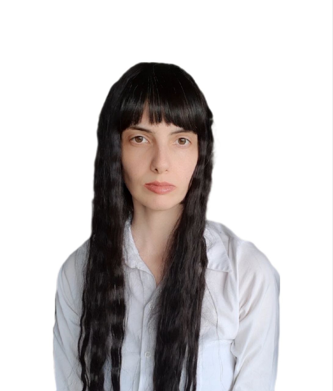 An image illustrating the style reference input of the user