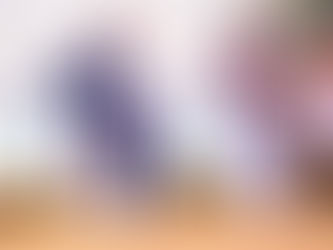 Le Sénégal au cœur de la transformation agricole mondiale : Ouverture du 15e Forum Mondial sur le Conseil Agricole et Rural à Diamniadio