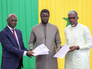 Bassirou Diomaye Faye préside la première session du Conseil Supérieur d’Orientation Agrosylvopastorale et Halieutique