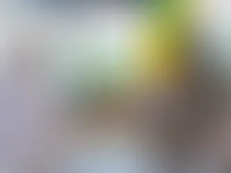 Sénégal-Émirats arabes unis : Dix mémorandums d’entente signés pour des projets structurants dans l’énergie, les mines et l’agriculture