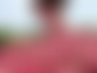 Le gouvernement lève le gel des importations d’oignon pour assurer l’approvisionnement du marché