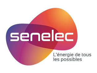 SENELEC devient actionnaire unique de West African Energy : une avancée majeure pour la sécurité électrique du Sénégal