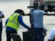 Contrôle des Lions à Raleigh : la FSF clarifie une vidéo devenue virale