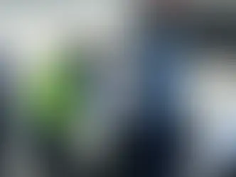 Contrôle des Lions à Raleigh : la FSF clarifie une vidéo devenue virale