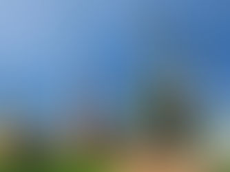 SAR : Entre défis actuels et ambitions de souveraineté énergétique avec le projet 2.0