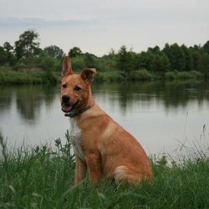 Co mi zrobisz jak mnie złapiesz?