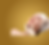 OPHIRA CLINIC AESTHETICS FACIAL 7.png