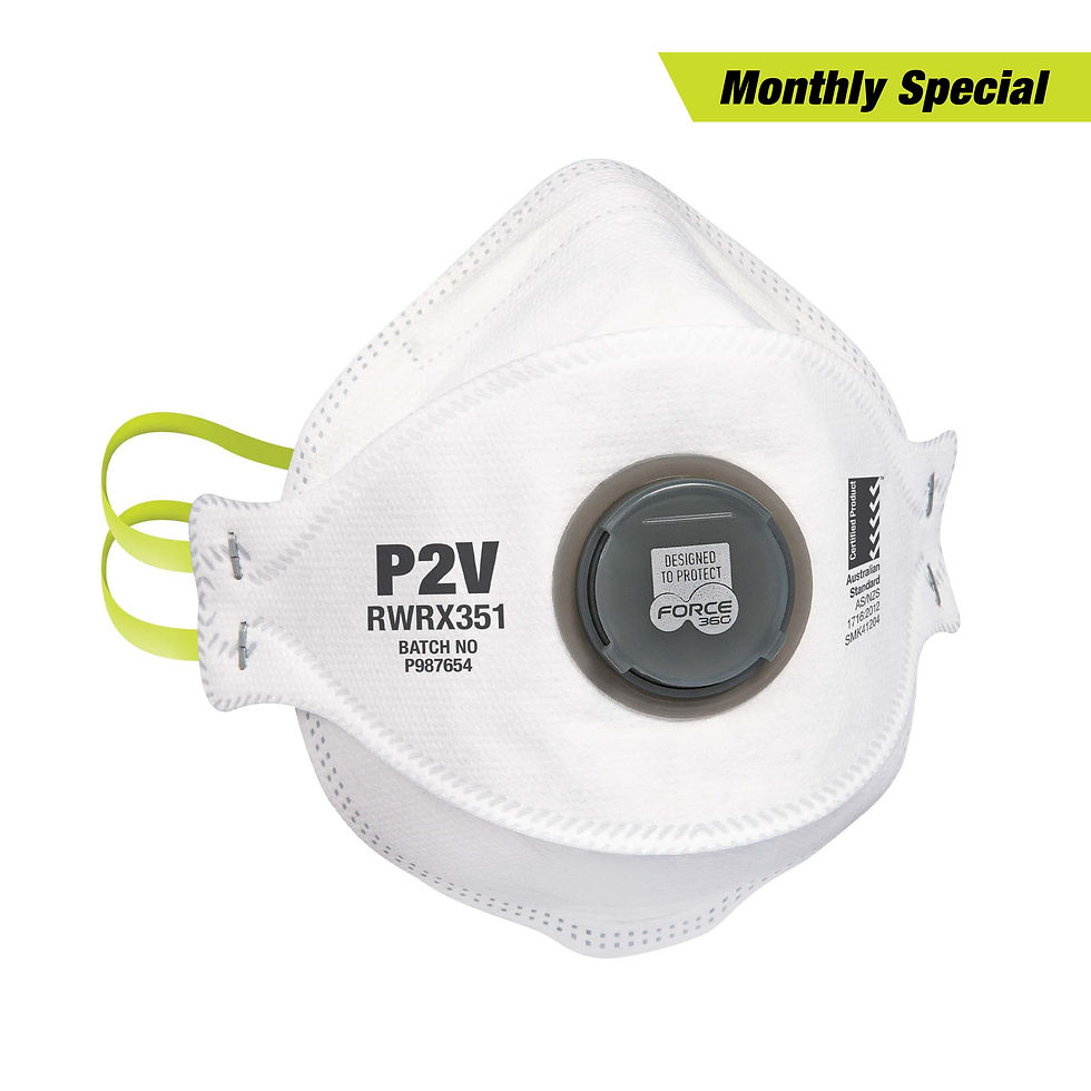 P2V Flat Fold Valved Respirator