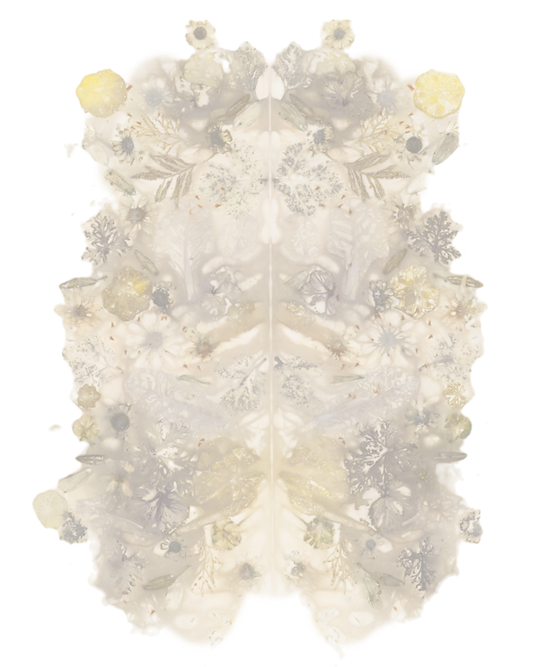 StephanieDodddridge_AGardenRecollection1